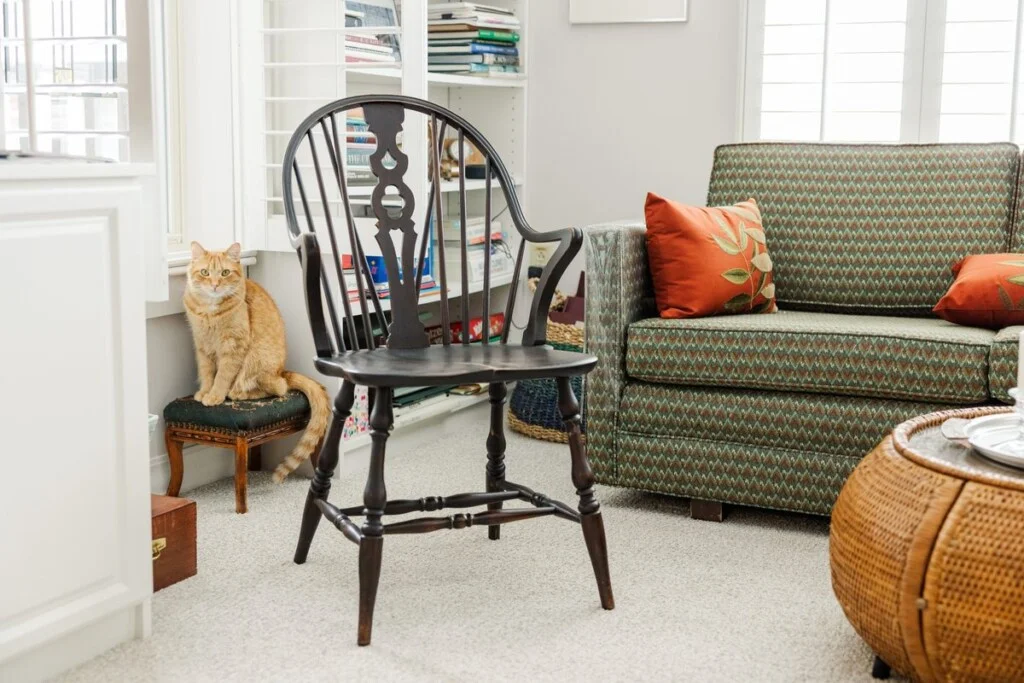 An orange tabby cat sits on a footstool in a resident’s apartment living room at GreenFields of Geneva.